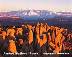 Leave No Trace