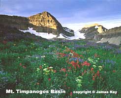 Forest Service Public Lands Issues